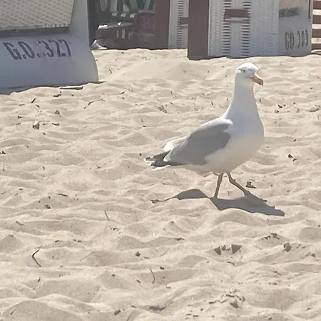Parkresidenz Concordia 12 Mit Sauna Und Terrasse