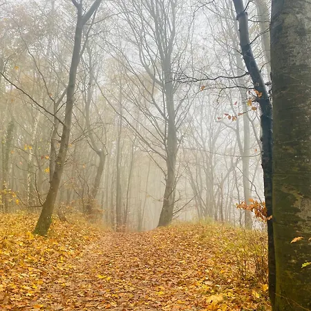Parkresidenz Concordia 12 Mit Sauna Und Terrasse 아파트 Sellin (Rugen)