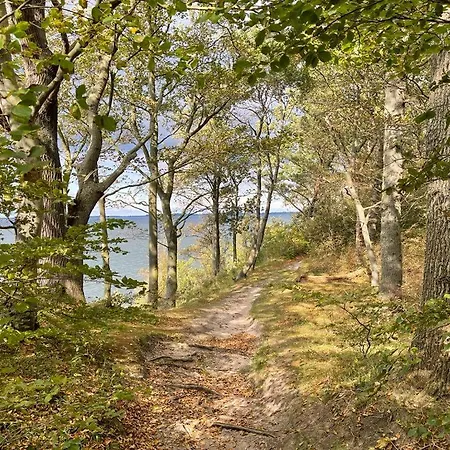 Parkresidenz Concordia 12 Mit Sauna Und Terrasse 아파트 *