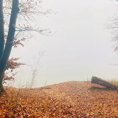 Parkresidenz Concordia 12 Mit Sauna Und Terrasse דירה *