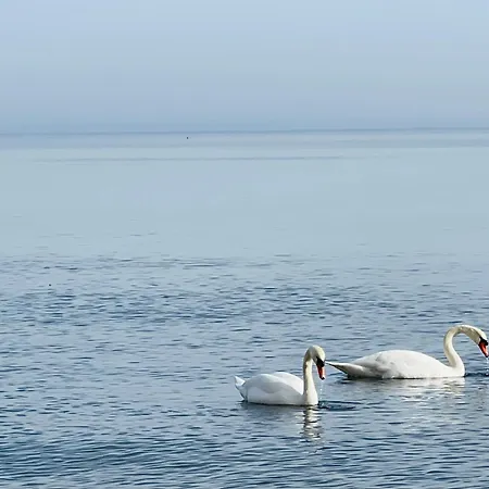 Parkresidenz Concordia 12 Mit Sauna Und Terrasse Apartman *