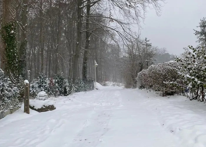 Parkresidenz Concordia 12 Mit Sauna Und Terrasse