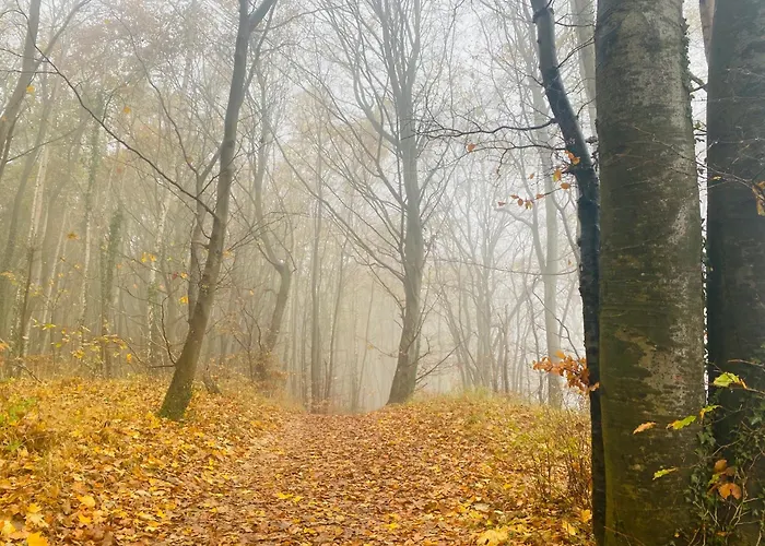 Parkresidenz Concordia 12 Mit Sauna Und Terrasse Apartment Sellin (Rugen)