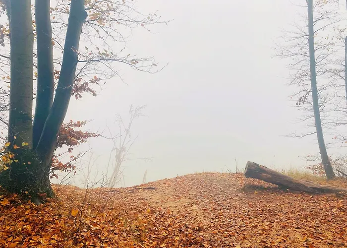 Parkresidenz Concordia 12 Mit Sauna Und Terrasse Apartment *