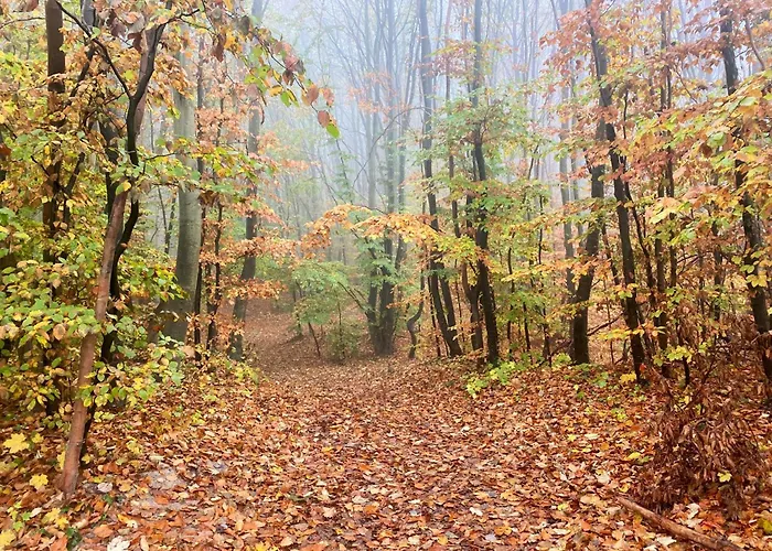 Parkresidenz Concordia 12 Mit Sauna Und Terrasse Sellin (Rugen)