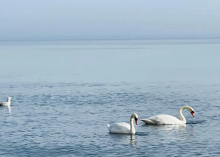 Parkresidenz Concordia 12 Mit Sauna Und Terrasse Apartman *